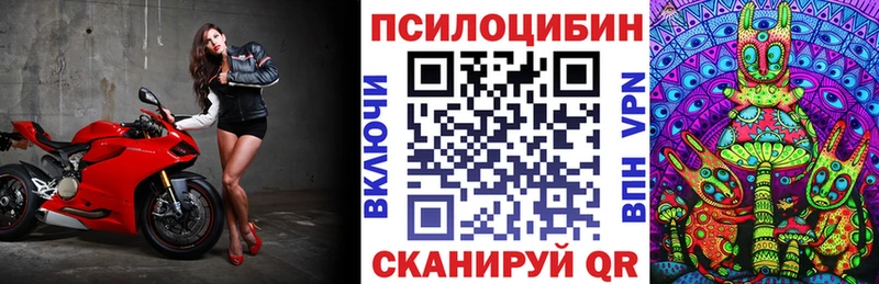 блэк спрут ссылка  Кораблино  Псилоцибиновые грибы Psilocybe 